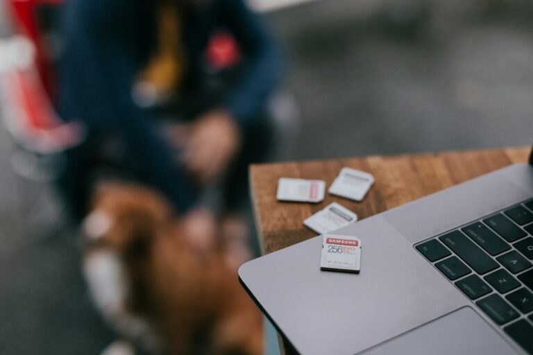 Title: Safeguarding Your Data: The Ultimate Guide to File Sharing Security in 2024